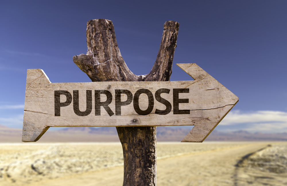 The value of meaning and purpose